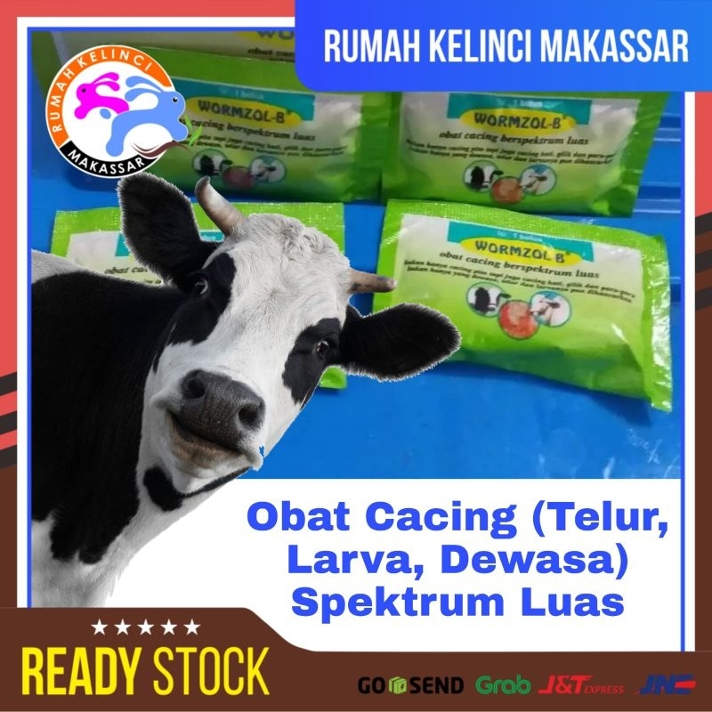 WORMZOL B Obat Cacing Sapi Obat Cacingan Sapi Kerbau Kuda WORMZOL-B