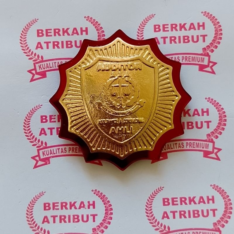 Pin Auditor Jaksa