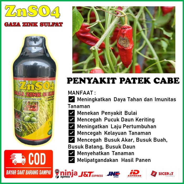 ZnSO4 GAZA 500ML Pupuk Pencegah Busuk Akar, Busuk Buah, Busuk Batang, Busuk Daun untuk Tanaman Cabe 