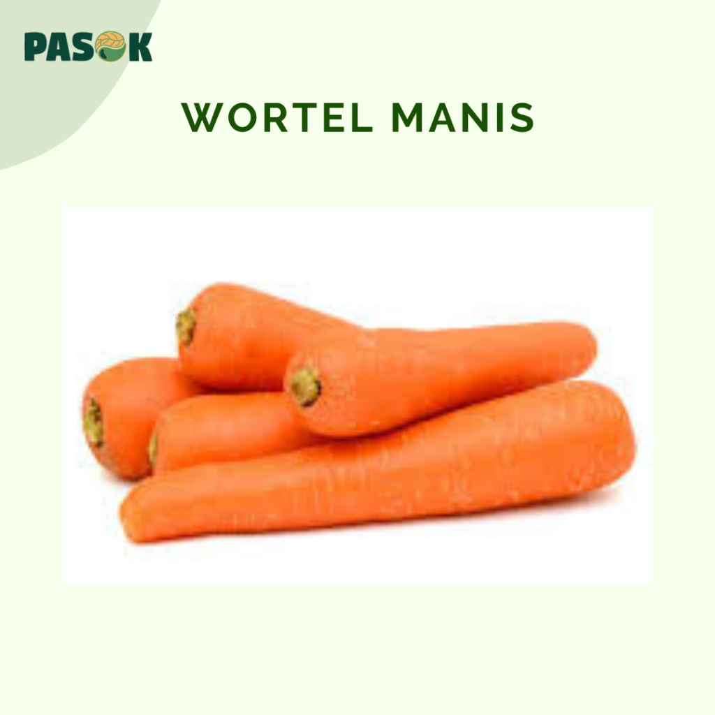 

Wortel Manis Berastagi