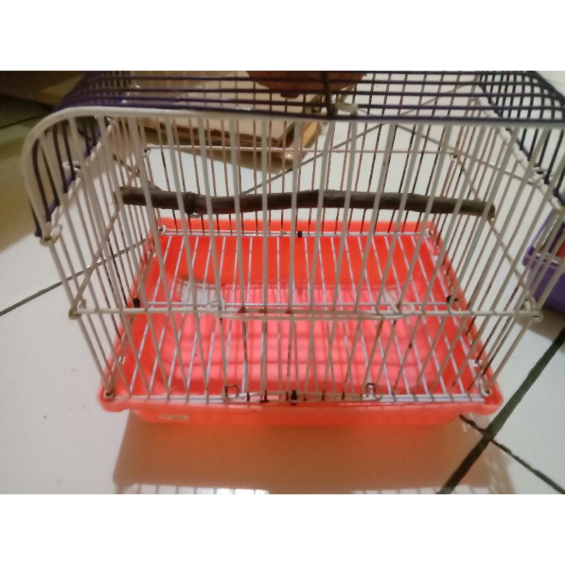Kandang hamster bekas
