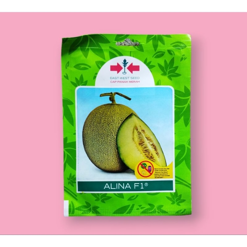 40 Butir BENIH MELON ALINA ( Kemasan Original  )
