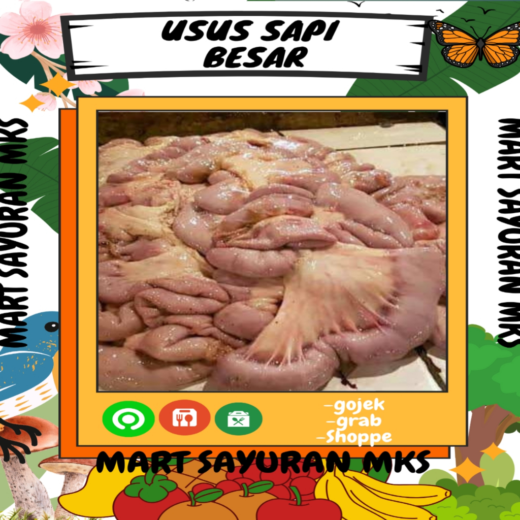 

Usus sapi besar