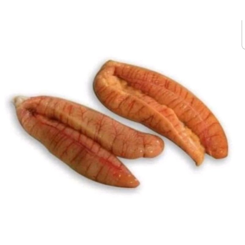 

telur ikan harian 1 kg