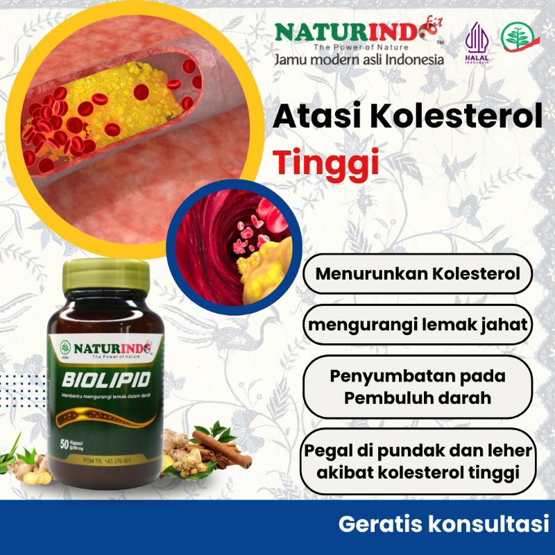 obat kolesterol paling ampuh obat kolesterol dan asam urat obat herbal kolesterol tinggi Biolipid