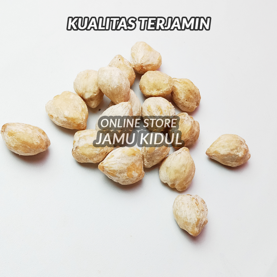 

Biji Kemiri 250gr Super Grade A Dapat Banyak