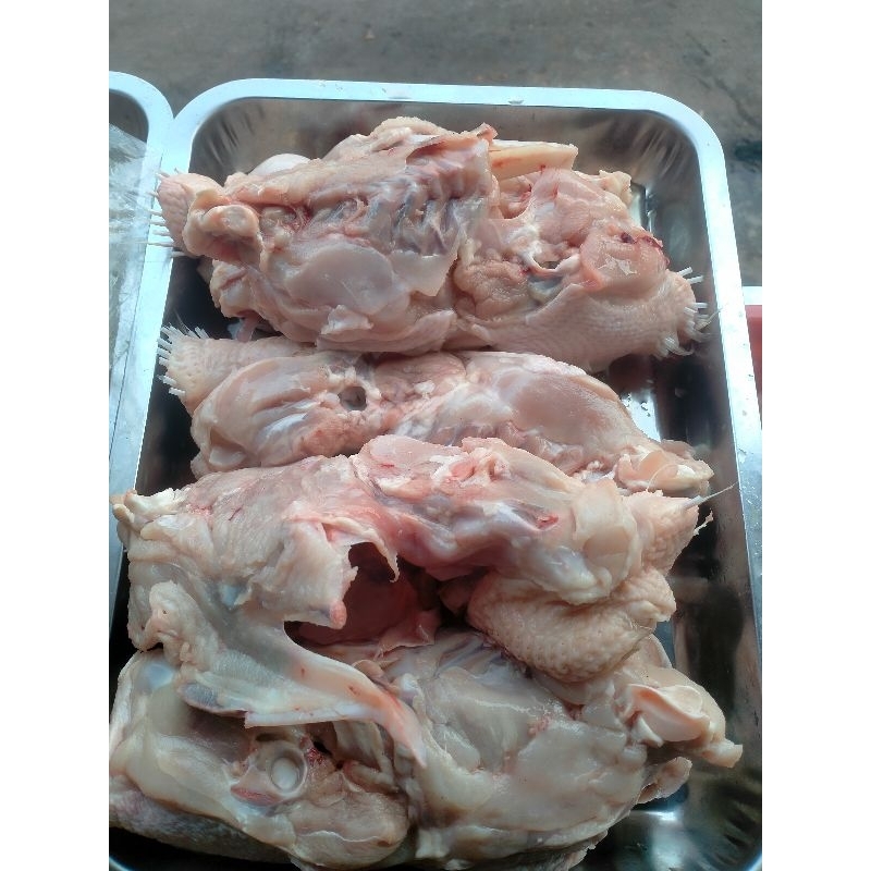 

KERONGKONGAN AYAM