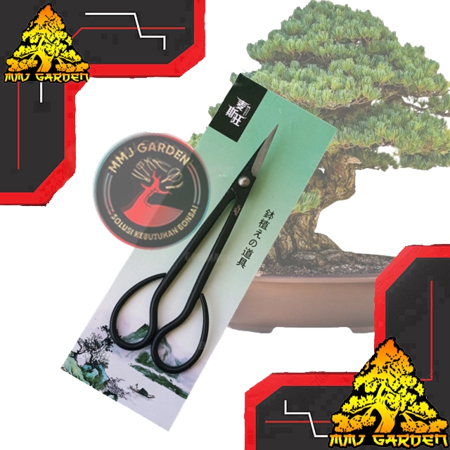 MMJ GARDEN-ALAT BONSAI Gunting pruning karbon bonsai import china