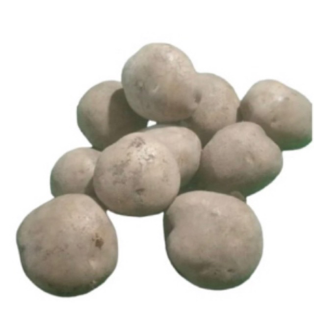 

kentang siomay 1kg Rp.23.000