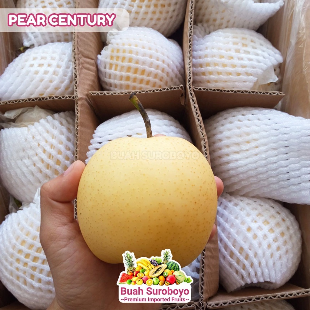 

Pear Century