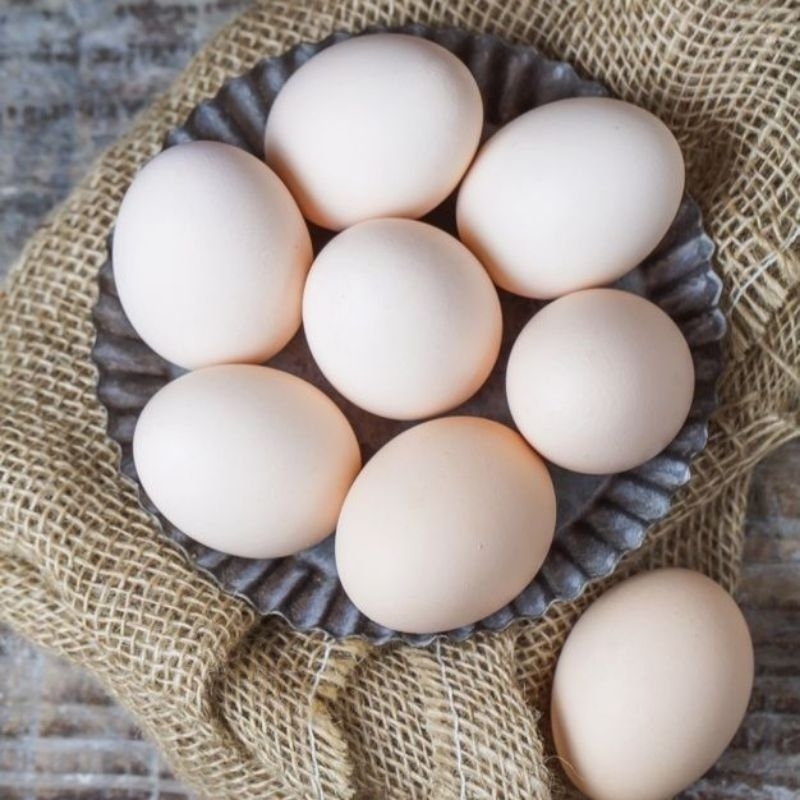 

Telur Ayam Kampung Segar