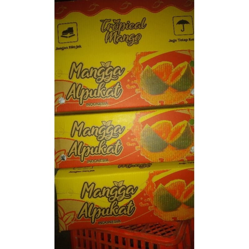 

mangga alpukat manis Situbondo