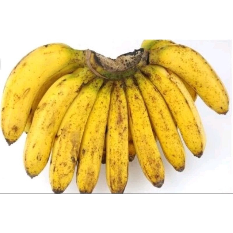 

pisang raja bulu 1 sisir