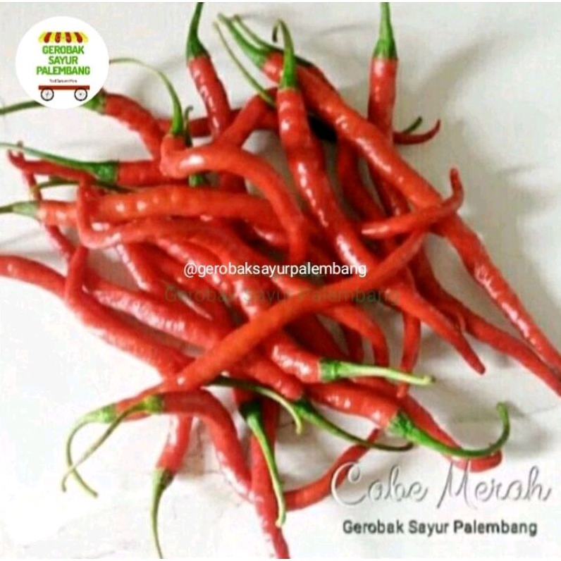 

Cabe Merah Keriting 250 gr