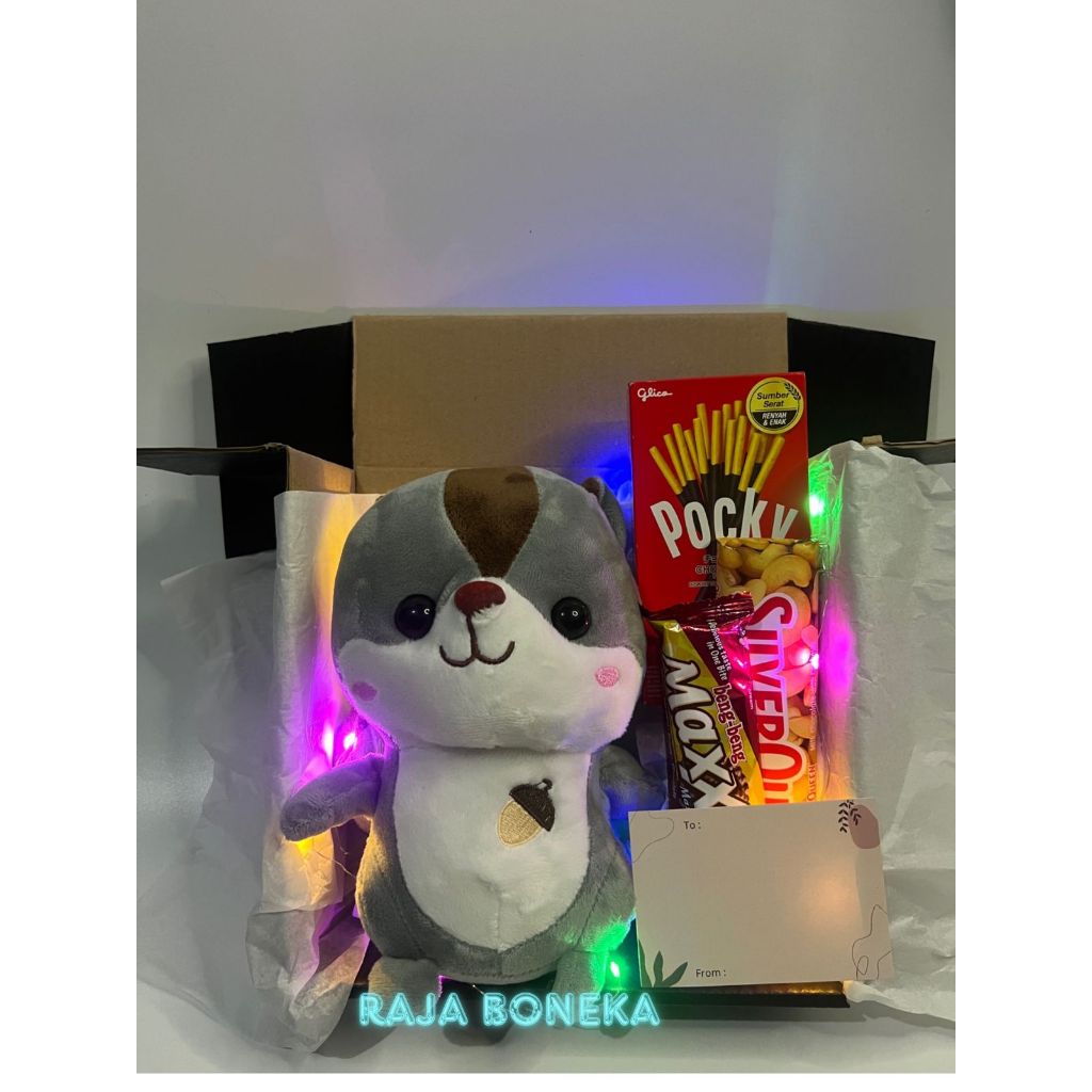 

Hadiah Box / Gift Box Buat Orang Tersayang / Boneka Tupai Banyak Bonus Bisa Request Kartu ucapan