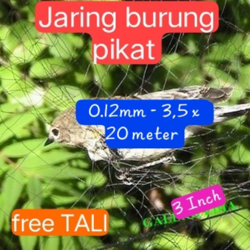 Jaring burung hitam / jaring burung pikat