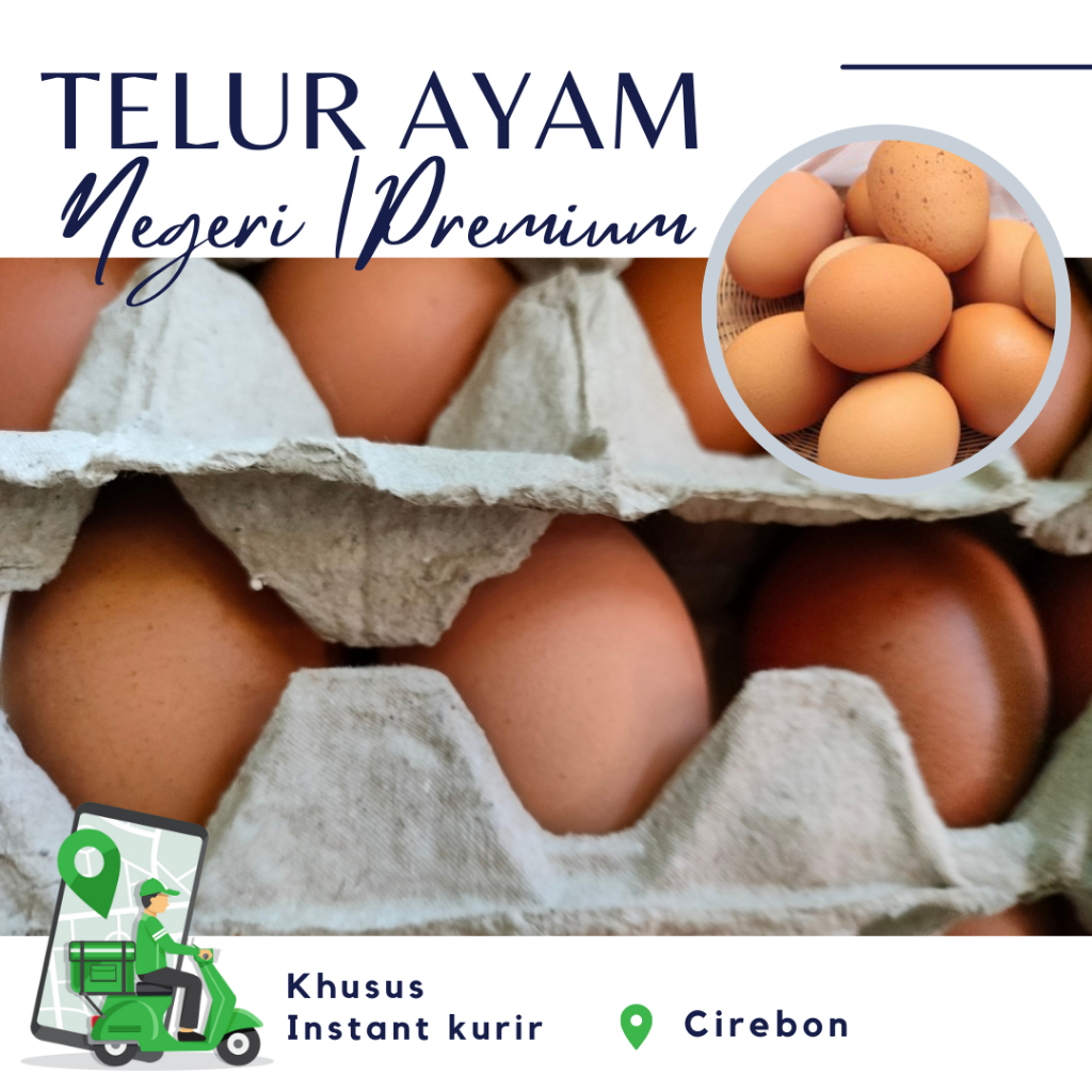 

Telur Ayam Negeri - telur Segar - Grade A