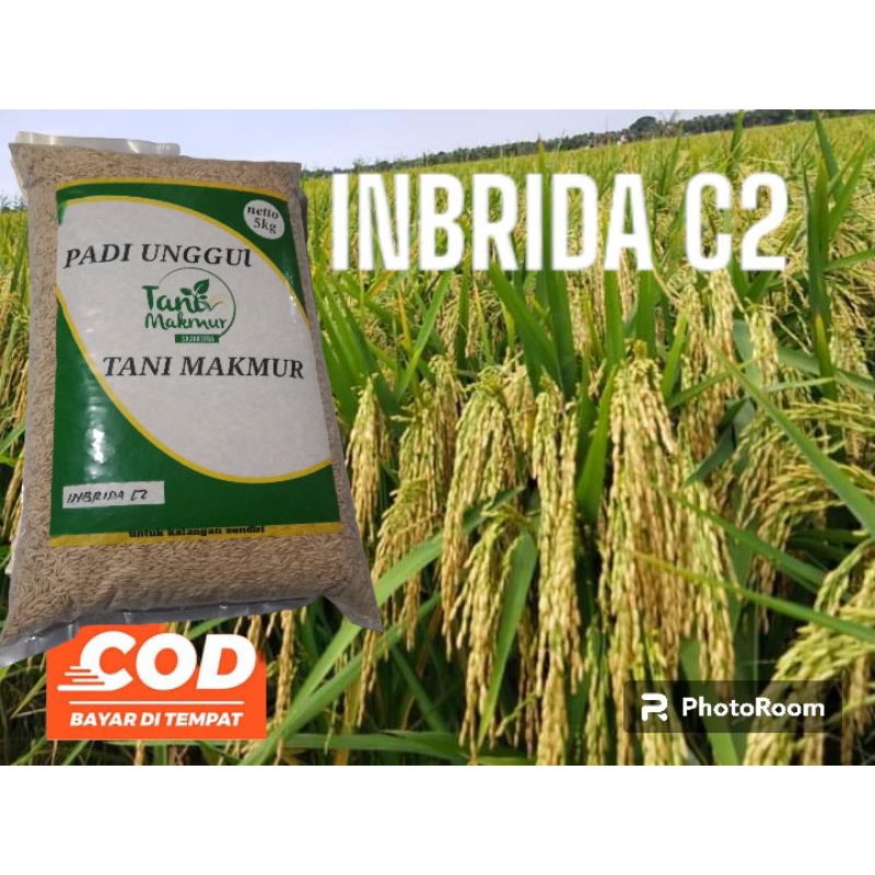 INBRIDA C2 kemasan 5kg