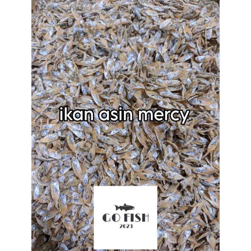 

IKAN ASIN (mercy) MURAH PREMIUM GRADE A