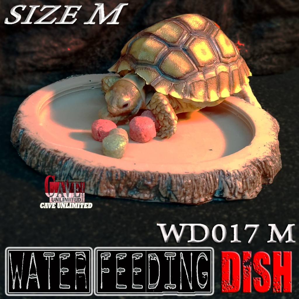 WD017 FEEDING FOOD DISH TEMPAT MAKAN KURA DARAT SULCATA BABY WADAH PAKAN REPTILE TORTOISE PARDALIS A