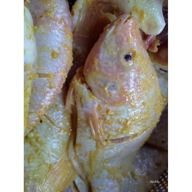 

IKAN NILA BUMBU SIAP GORENG FROZEN