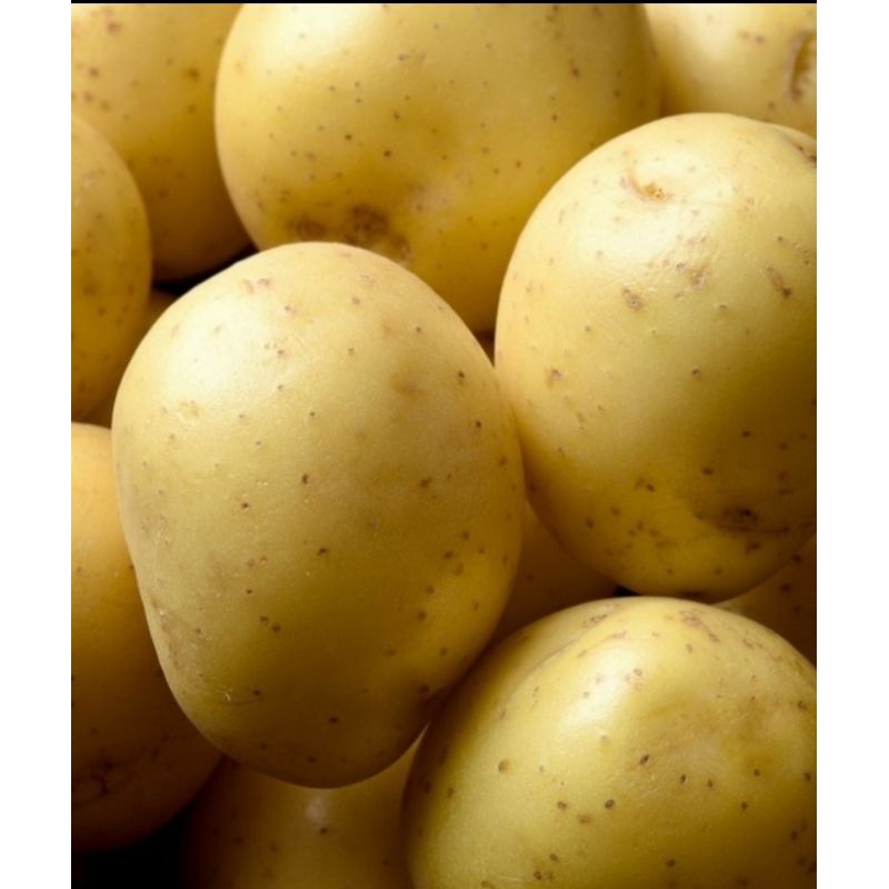 

KENTANG DIENG FRESH (1PAC 250gr)