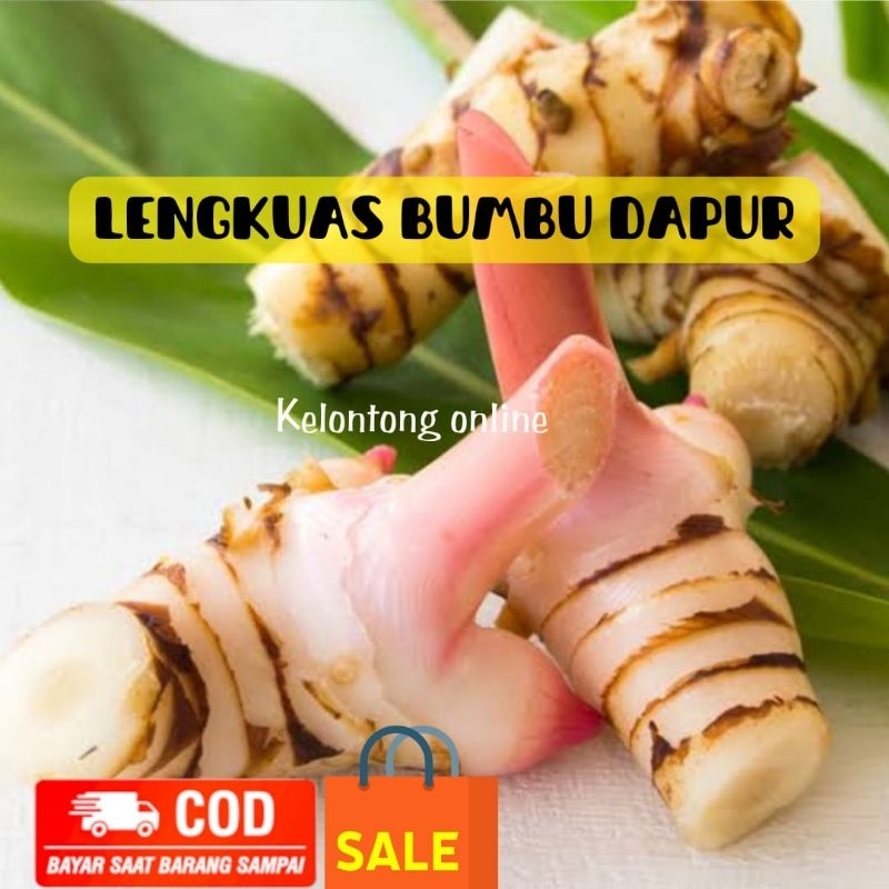 

(250gram) Lengkuas bumbu dapur