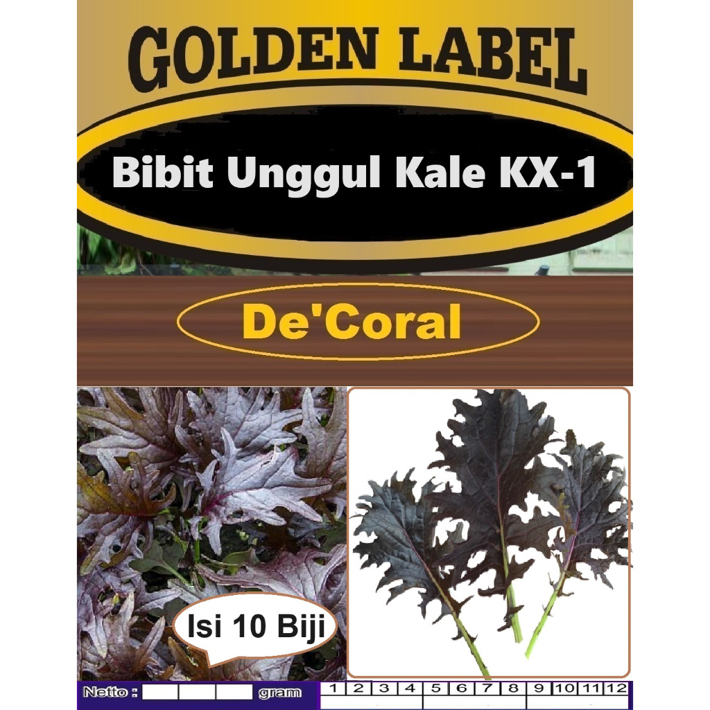 Bibit Unggul Kale KX-1 | Biji Bibit Kale KX 1 | Biji Benih Kale KX