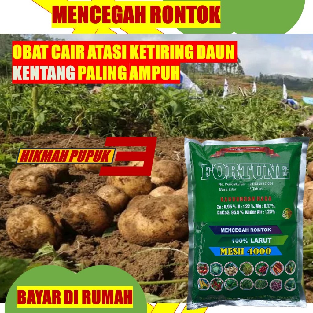 Pupuk KENTANG MESH 4000 Plus Boron Plus Zink Pencegah Layu Daun Kentang FORTUNE Organik Anti Patek U
