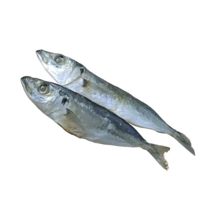 

ikan asin layang