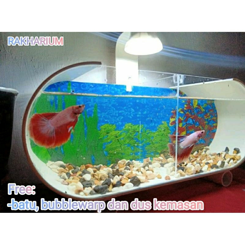 AQUARIUM MINI/AQUARIUM KAMAR 2/SOLITER CUPANG/AQUARIUM PVC AKRILIK