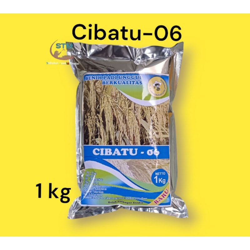 Benih padi cibatu 06 Original