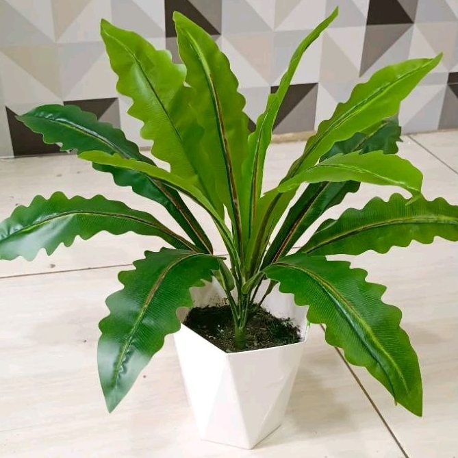 POHON GELOMBANG CINTA / DAUN KADAKA ARTIFICIAL DENGAN POT DIAMOND