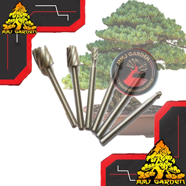 MMJ GARDEN-ALAT BONSAI MATA BOR JIN BONSAI MINI IMPORT