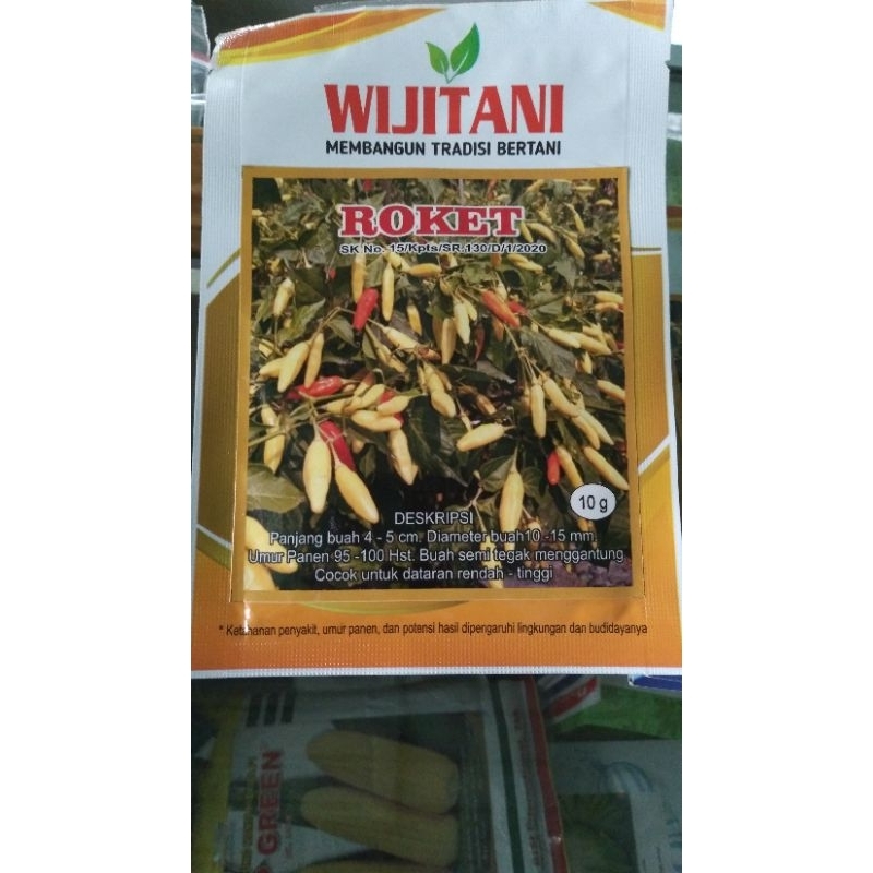 BENIH CABAI ROKET VIRAL