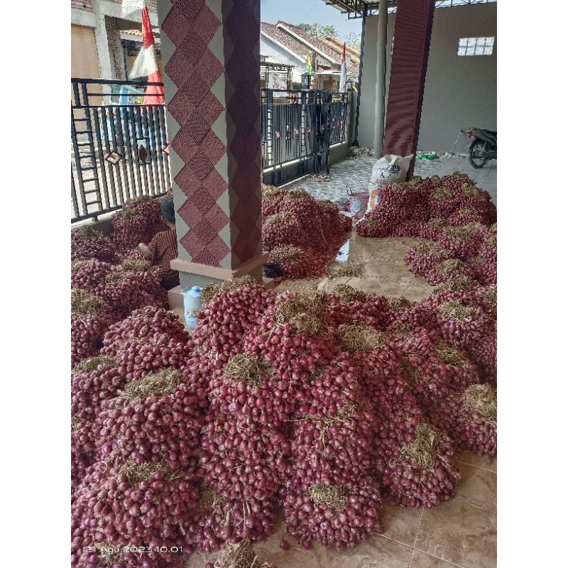 

Bawang merah asli Brebes