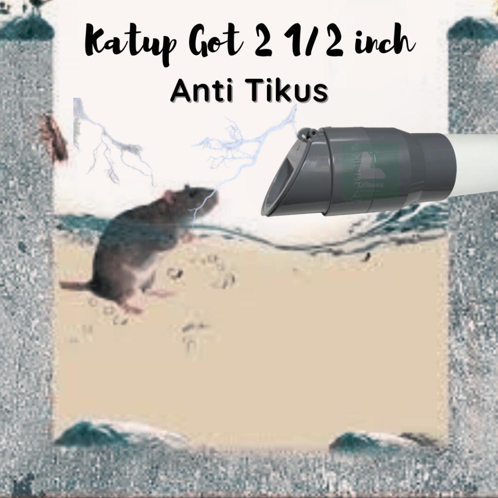 Katup Pembuangan Buangan Pipa Saluran Air Got Ukuran 2 1/2 Inch Backflow Back Flow Valve Otomatis Pe