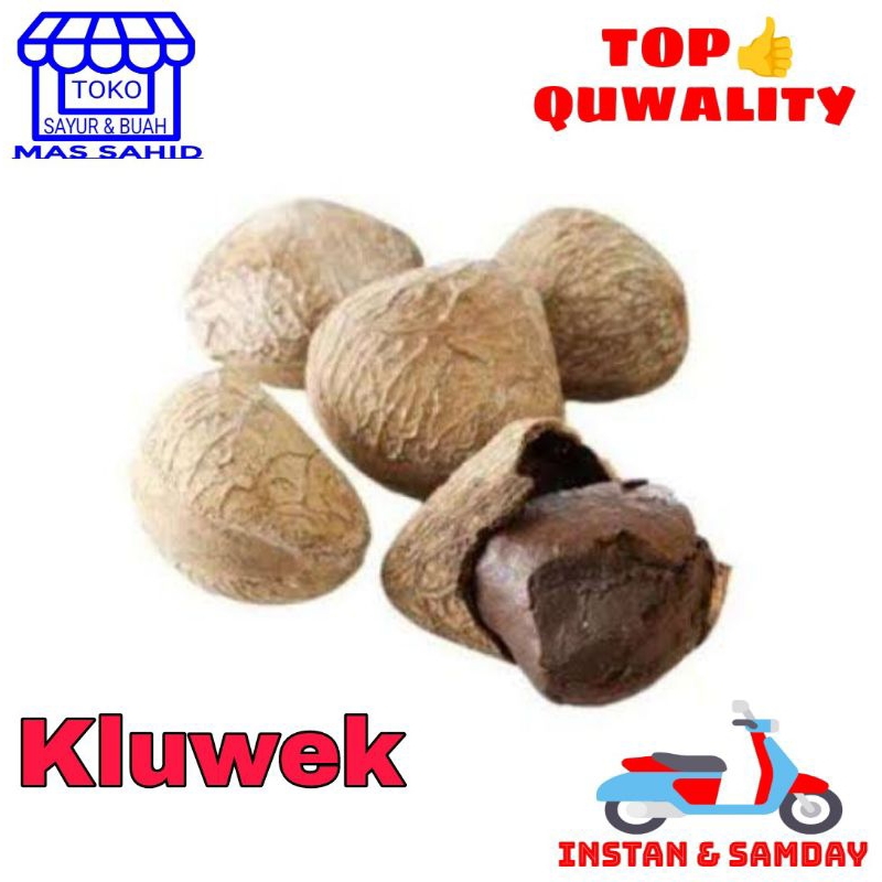 

Kluwek Kulit Kering Kluwak 100 Gram Bumbu Rawon
