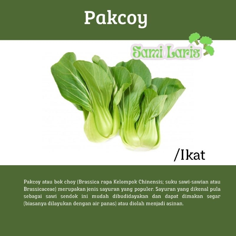 

pakcoy