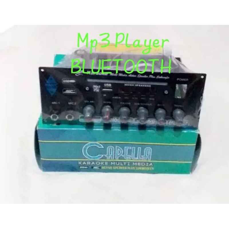 Kit Power Amplifier Speaker Aktif plus Mp3 player CAPELLA