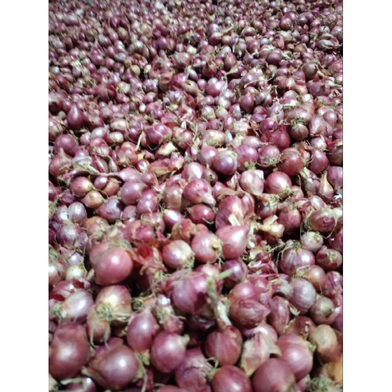 

bawang merah lokal 500g