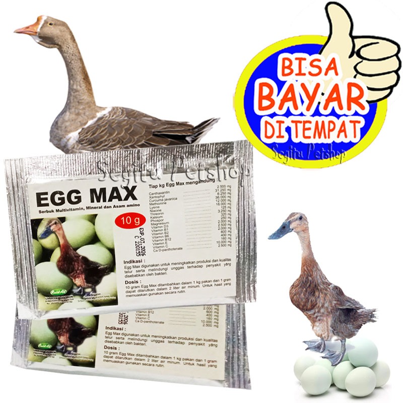 Vitamin Bebek Petelur Pemacu Produksi Telor Banyak Egg Max
