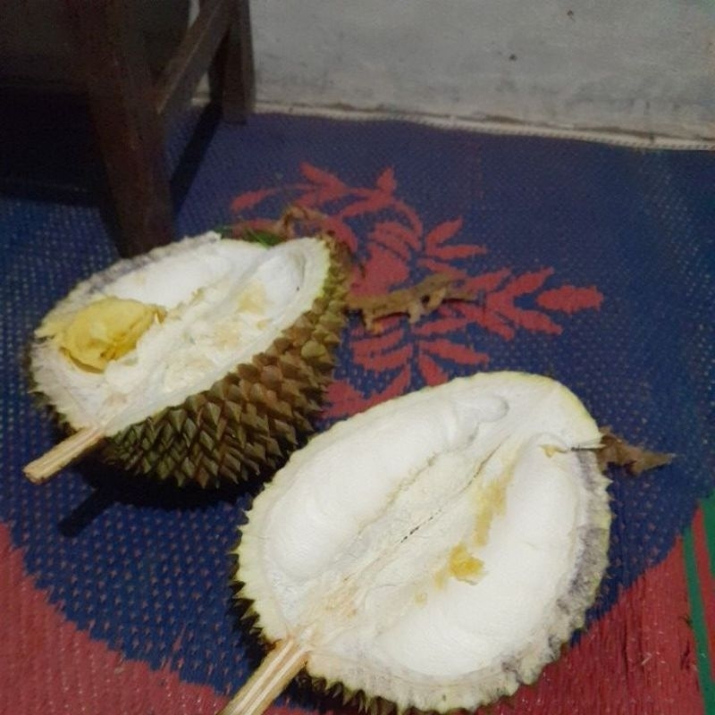 

duren masak