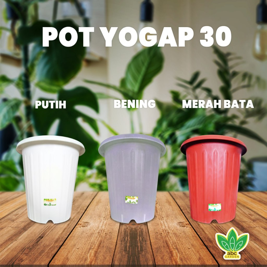 [1 pcs] Pot Yogap 30