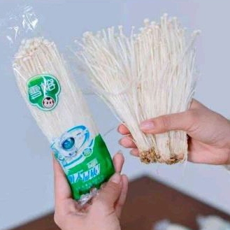 

Jamur enoki