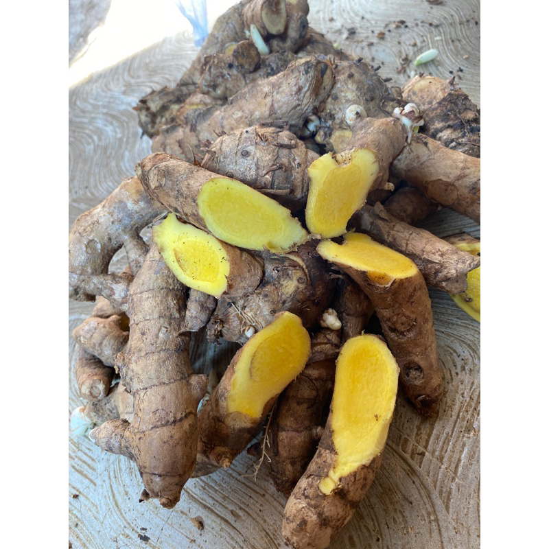 

TEMU MANGGA SEGAR 1KG