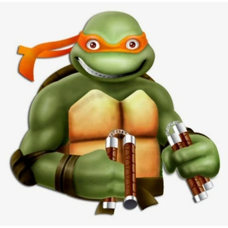 Action Figure Ninja Turtle Michelangelo / Figure Turtles