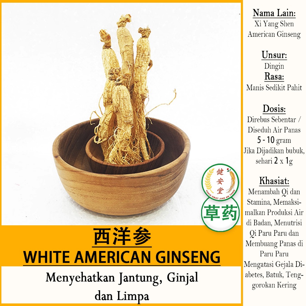 

WHITE GINSENG - UTUH[Yang Shen-Ren Shen 长白山人参] Herbal TCM