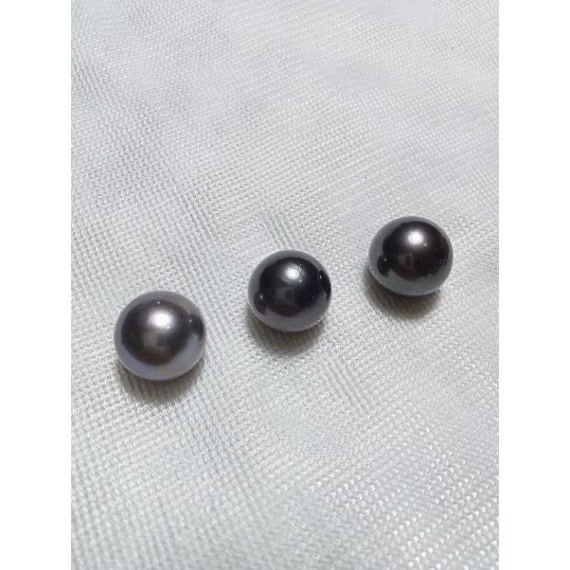 butiran mutiara air hitam pekat grade A || mutiara jumbo big size