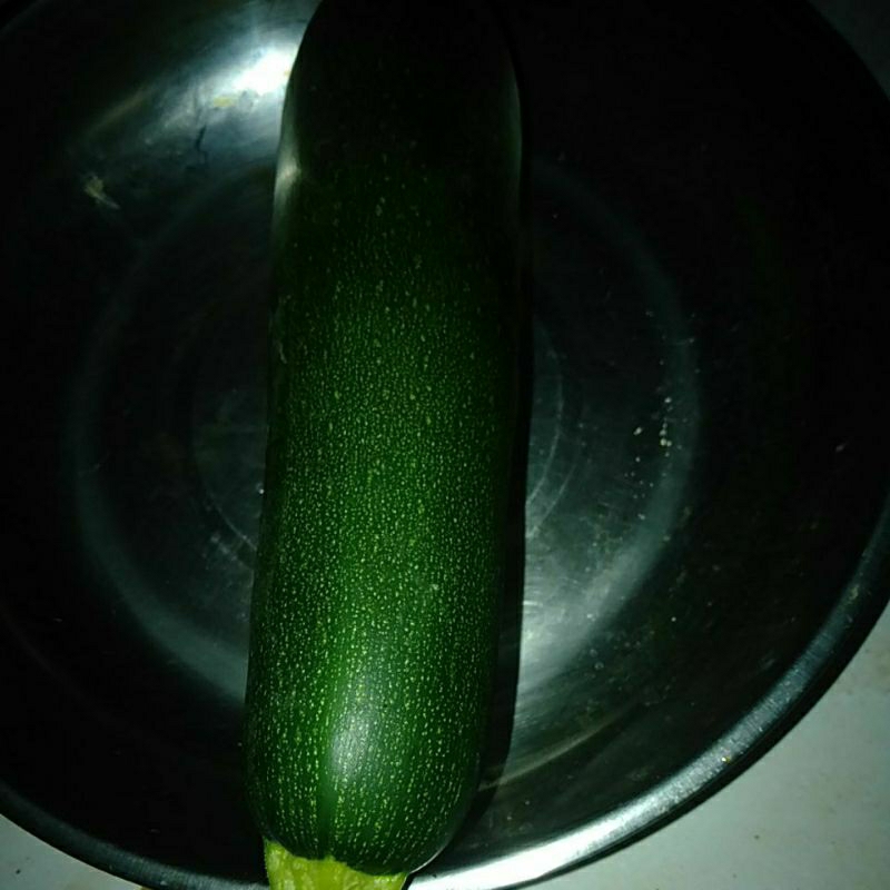 

TIMUN JEPANG SUKINI ZUCINI